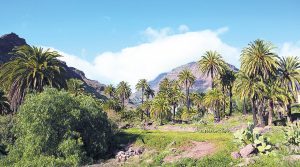 Veneguera - Gran Canaria