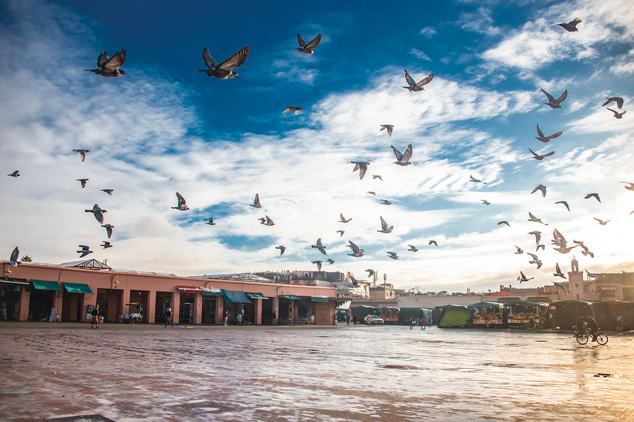 Marocco - La piazza Jamaa el Fna fotografata all’alba