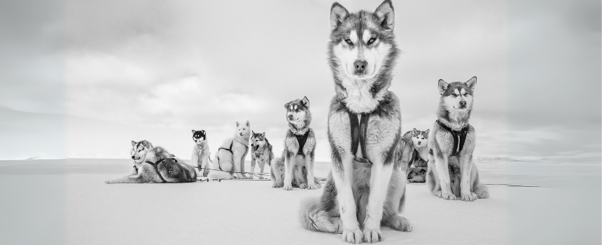 mostra fotografica Cristina Mittermeier - Gallerie d’Italia