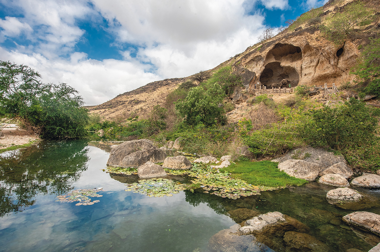 Alle spalle di Salalah si trovano boschi e sorgenti - Viaggio in Oman