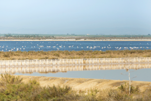 Le Saline di Margherita di Savoia - Puglia Imperiale