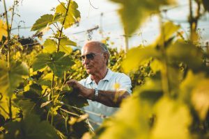 Roccia Rossa Wines - Gianni Galliano Boscolo