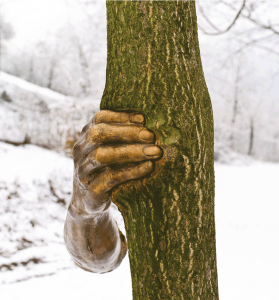 Giuseppe Penone