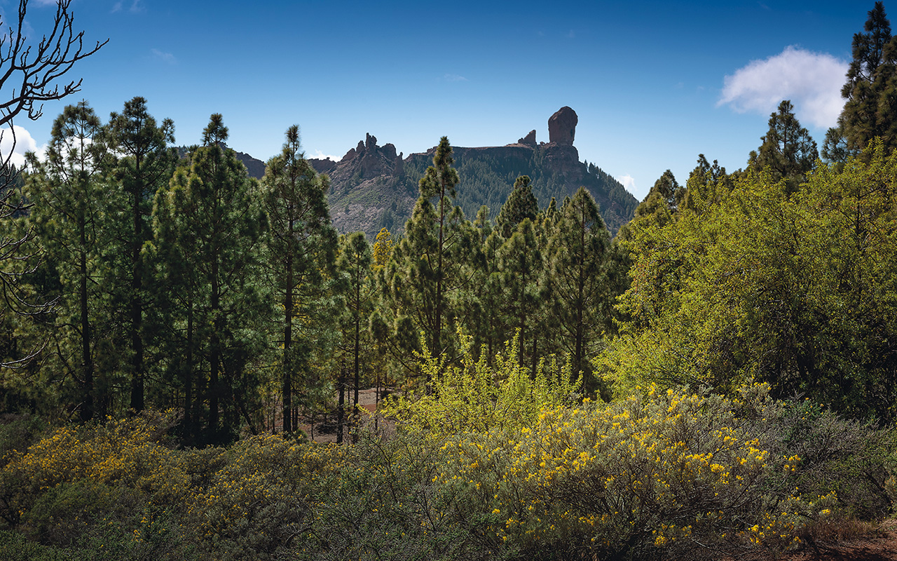 Gran Canaria - Roque Nublo