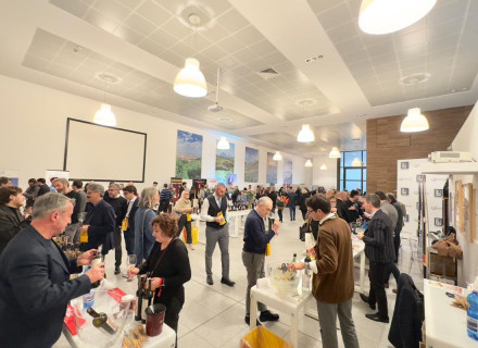 Il Vermouth di Torino… a Torino