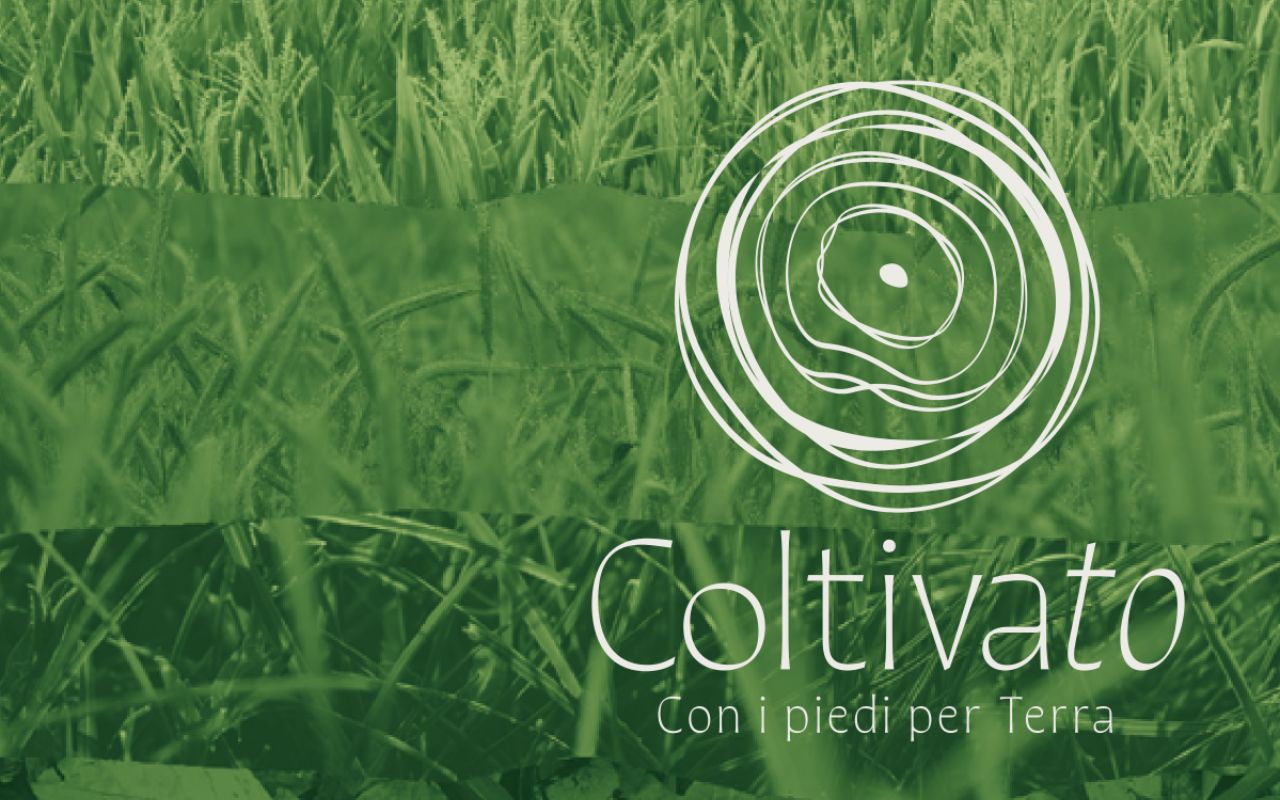 Coltivato 2025 - Torino