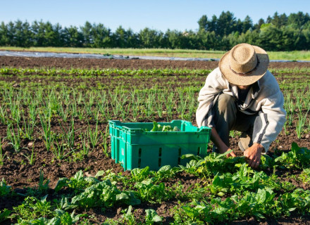 Bio e italiani in che direzione andiamo (con Biobottega)