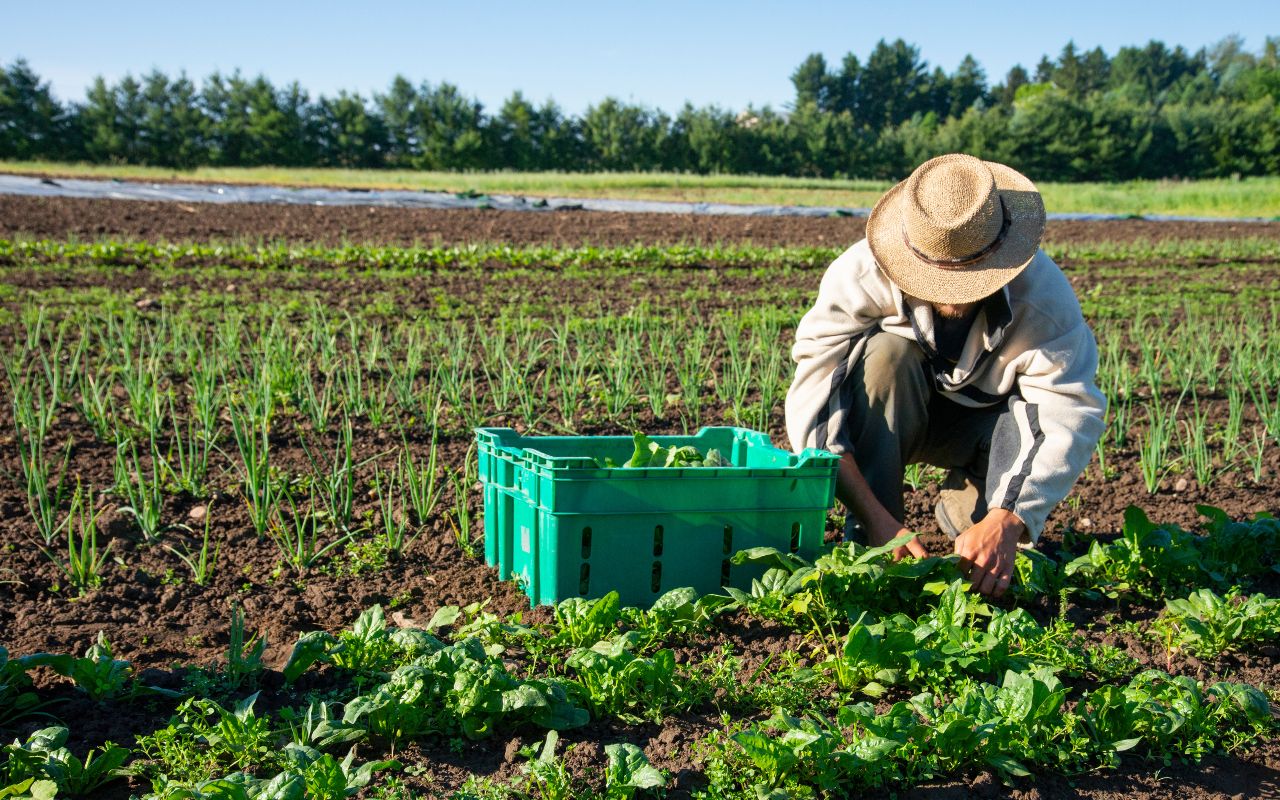 Bio e italiani in che direzione andiamo (con Biobottega)