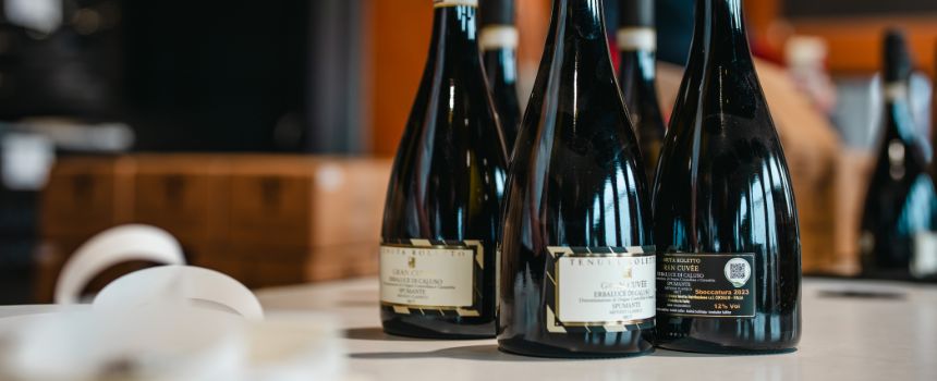 DRINK MORE Erbaluce - Tenuta Roletto