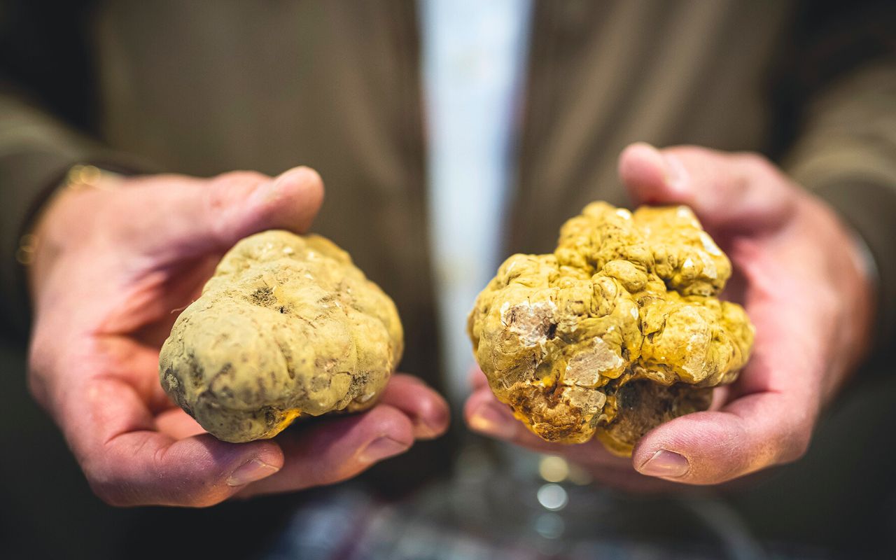 50 motivi per amare l’enogastronomia torinese - Il tartufo fotografato da Giorgio Perottino per l'Ente Fiera del Tartufo