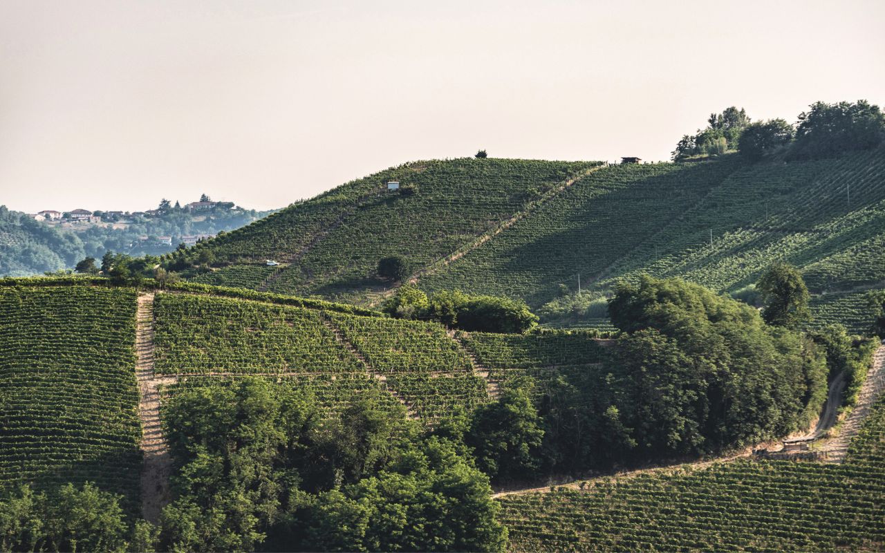 Vinchio Vaglio custodi della Barbera