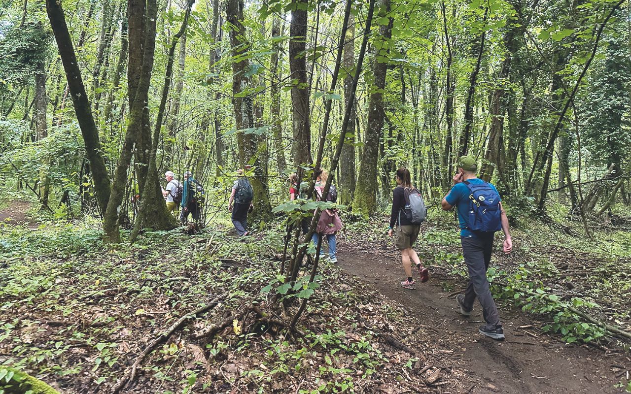 Cammini verso Roma - Castel Gandolfo - Nemi, via Francigena del Sud