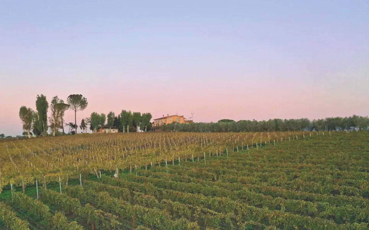 Cammini verso Roma - Colle di Maggio tenuta vinicola