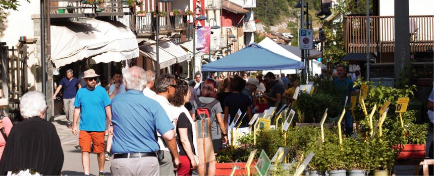 FLOR Estate - Bardonecchia