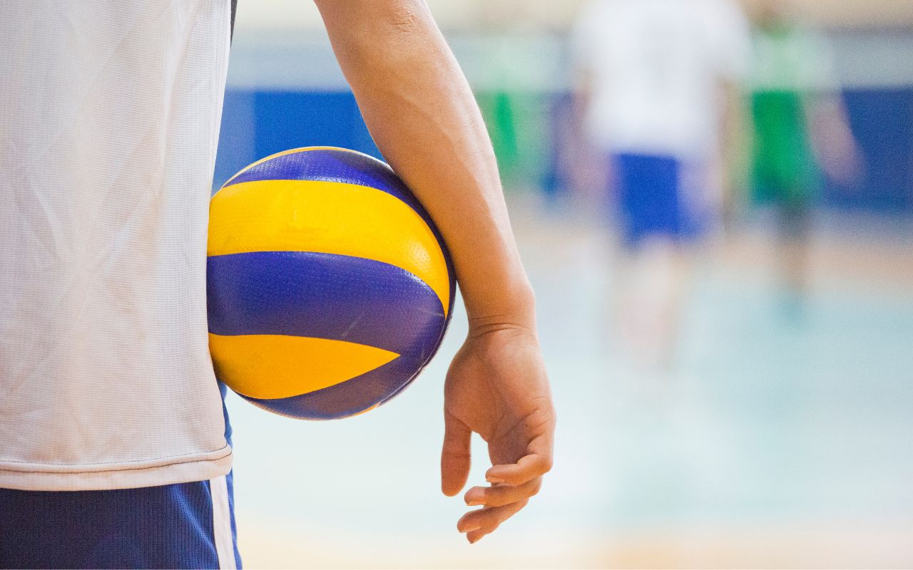 Fipav Cup Elite Man - Palavela