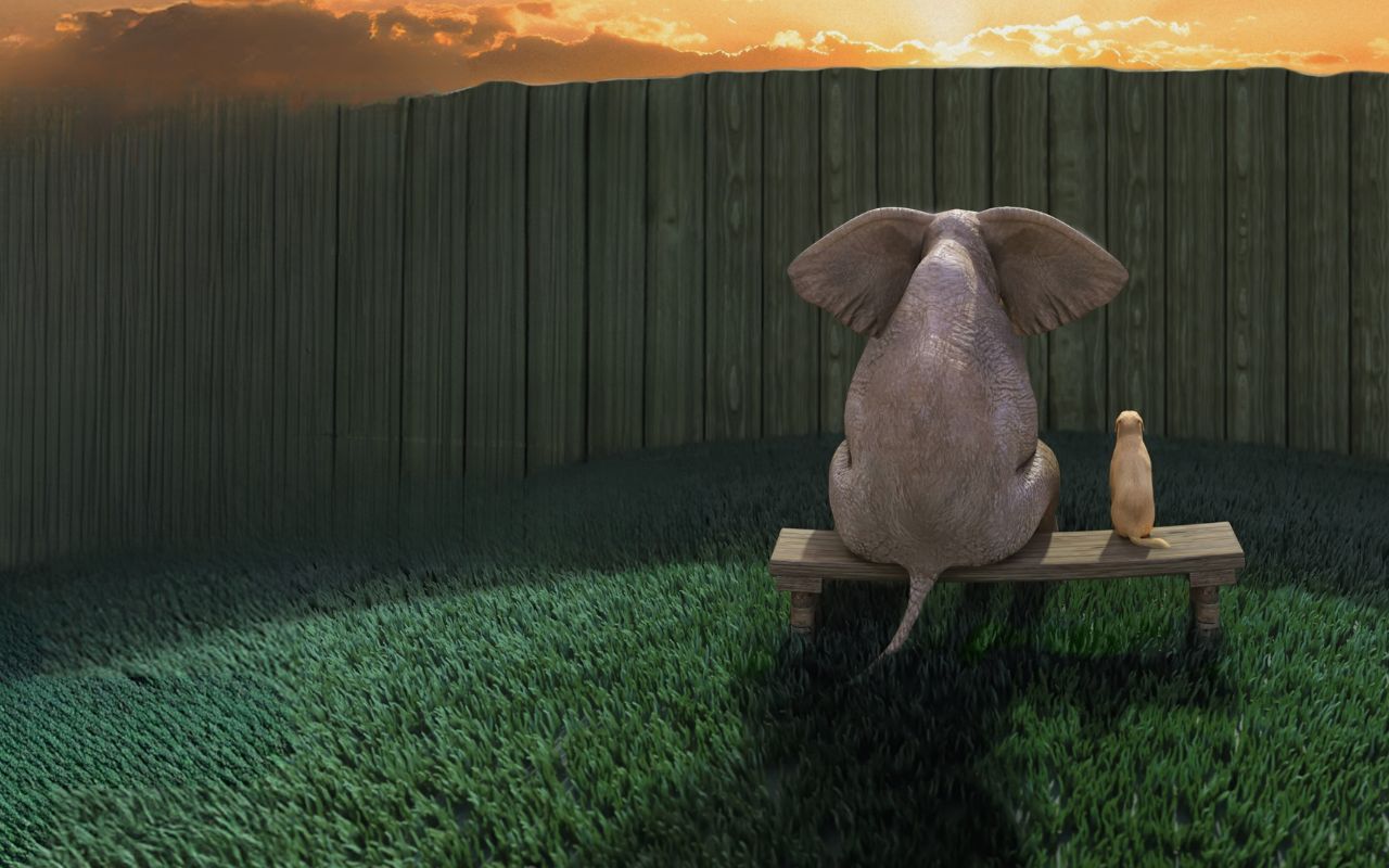 Festival delle Migrazioni 2025 - Torino