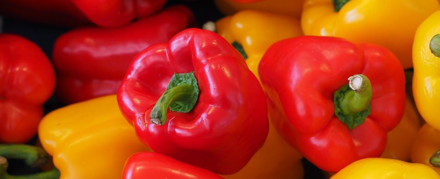 Fiera del Peperone 2025 a Carmagnola