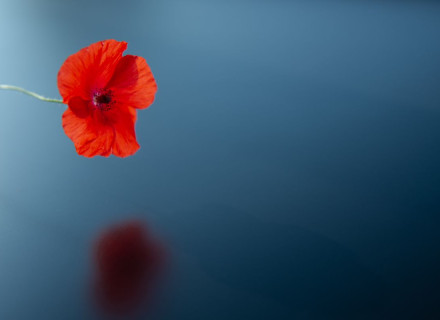 Giorno della Memoria 2026 - Torino