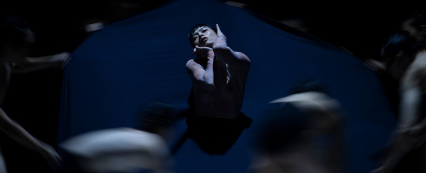 Divine Monsters al Teatro Astra