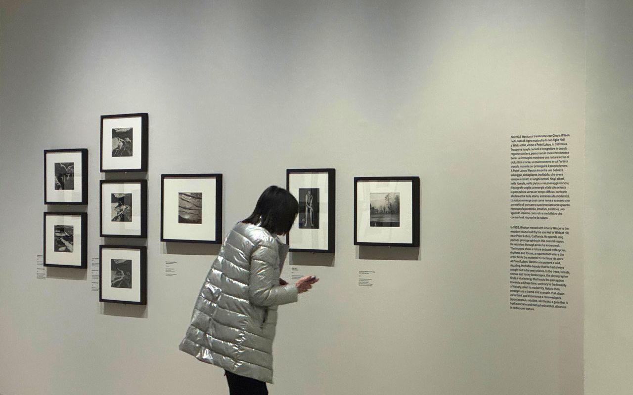 Edward Weston da Camera Torino