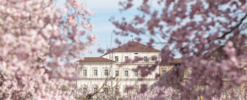 Concerto di Primavera alla Reggia di Venaria