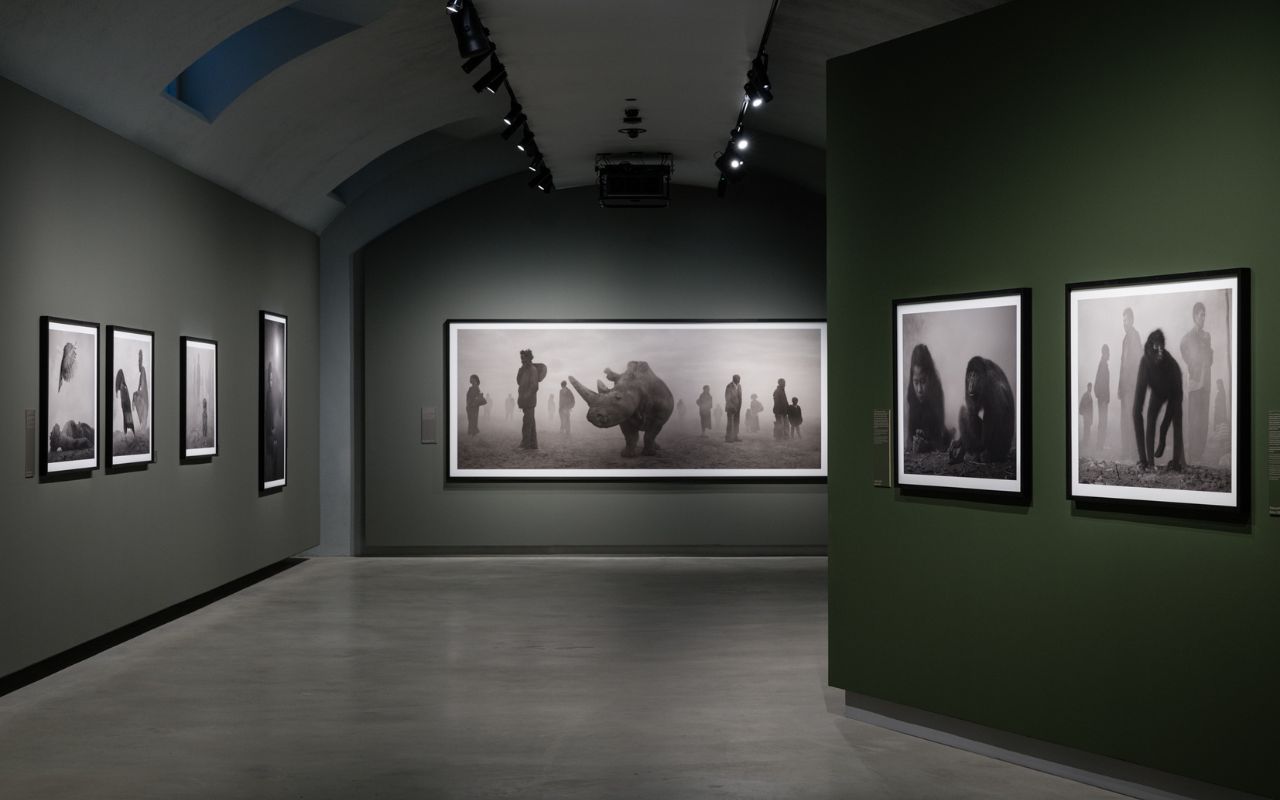 Nick Brandt - Gallerie d’Italia – Torino