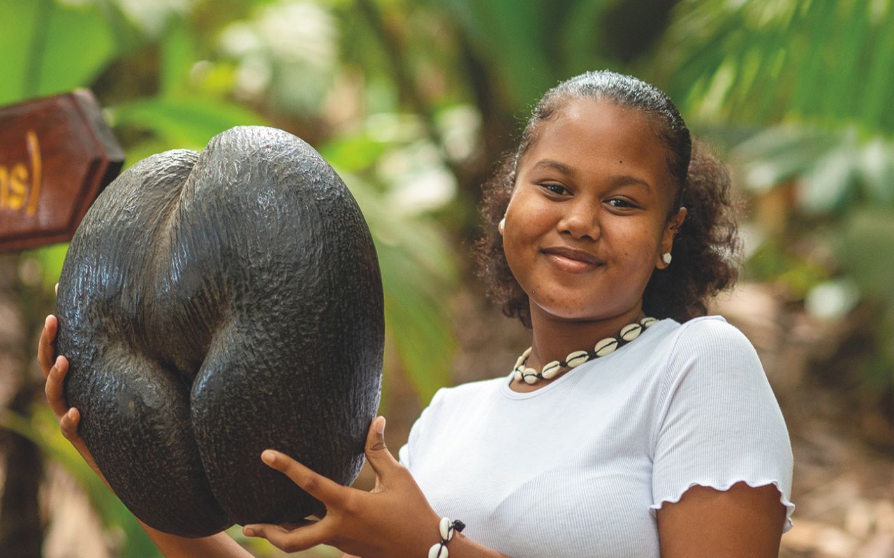 Seychelles - Coco de Mer