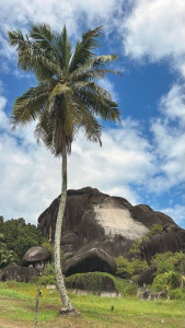 Seychelles - I caratteristici massi granitici levigati delle Seychelles