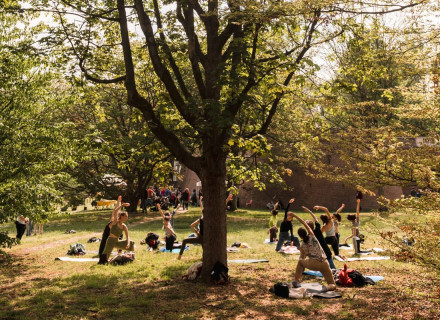 Giornata della Terra Torino 2026: 6 eventi da non perdere