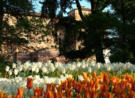 Messer Tulipano 2026 - Castello di Pralormo
