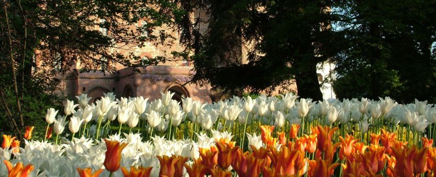 Messer Tulipano 2026 al Castello di Pralormo
