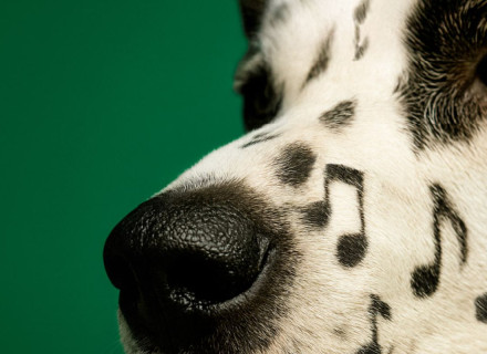 Torino Jazz Festival 2026 - Torino