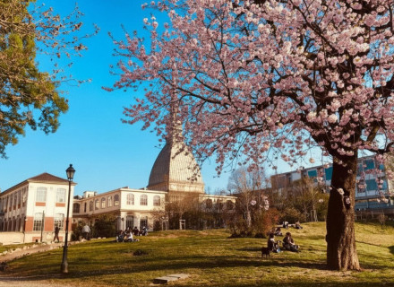 Weekend cosa fare 17 - 18 - 19 aprile 2026