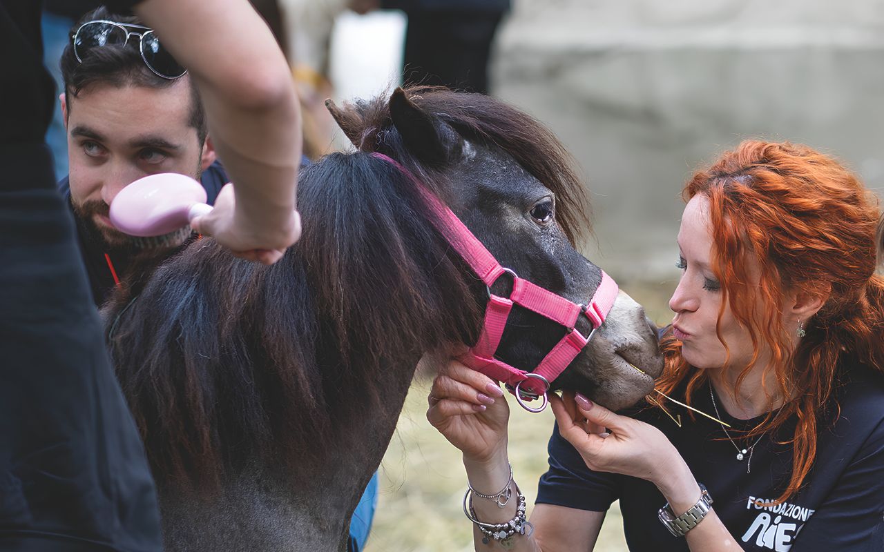Fondazione AIEF - I mini pony della fattoria didattica del Castello di Lucento