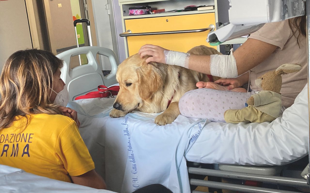 Fondazione FORMA - Pet therapy