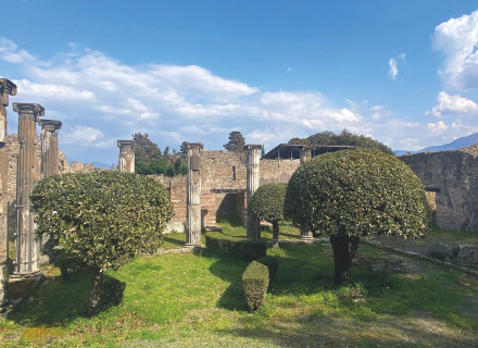 Pompei work in progress