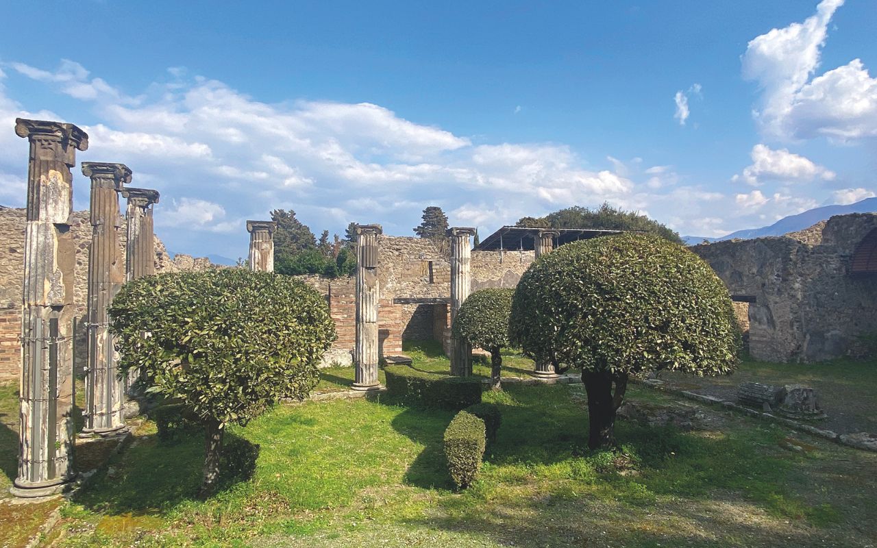 Pompei work in progress