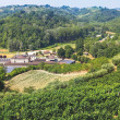 A spasso tra vigne e storie con Vinchio Vaglio