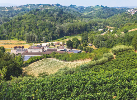 A spasso tra vigne e storie con Vinchio Vaglio