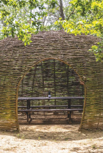 A spasso tra vigne e storie con Vinchio Vaglio - Il percorso dei Nidi racchiude tutto l'amore per questa terra