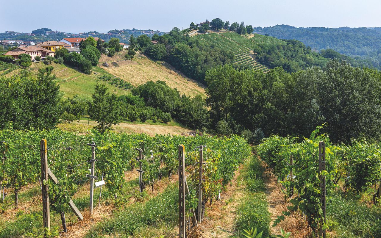 Vigne e storie con Vinchio Vaglio