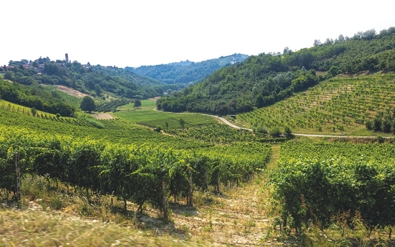 Vinchio Vaglio