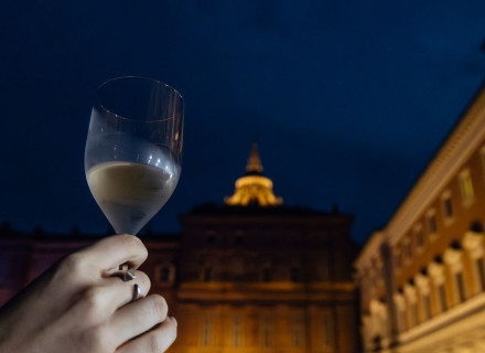 Vendemmia Reale 2026 - Giardini dei Musei Reali