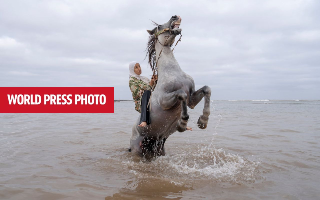 World Press Photo Exhibition 2026 - Accademia © Chantal Pinzi, Panos PicturesAlbertina